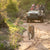 Dusty Boots Travel - Web - Nov 2024 - Kapama - Gamedrive and Leopard - Mobile