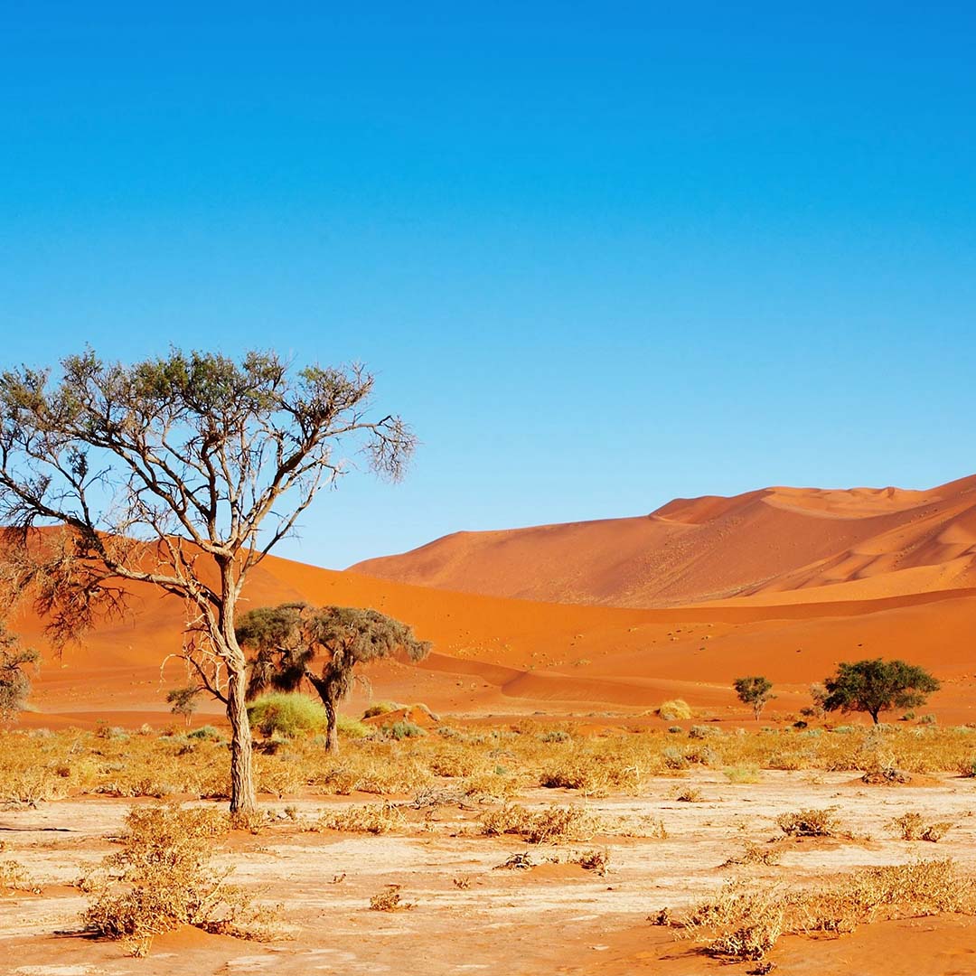 Dusty Boots Travel - Web - Nov 2024 - Sossusvlei - Mobile