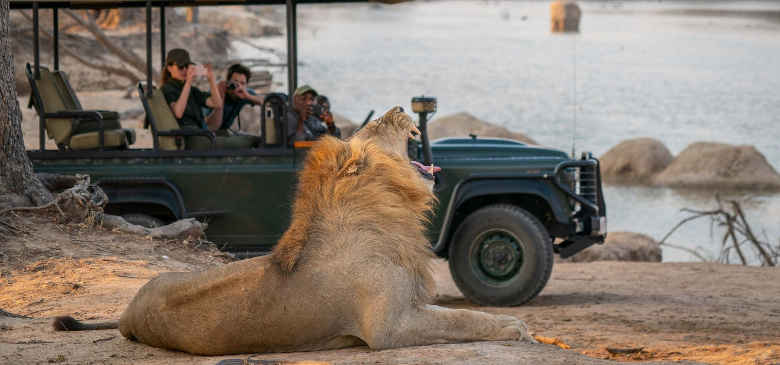 Zambia Safari Guide: South Luangwa, Lower Zambezi, Kafue