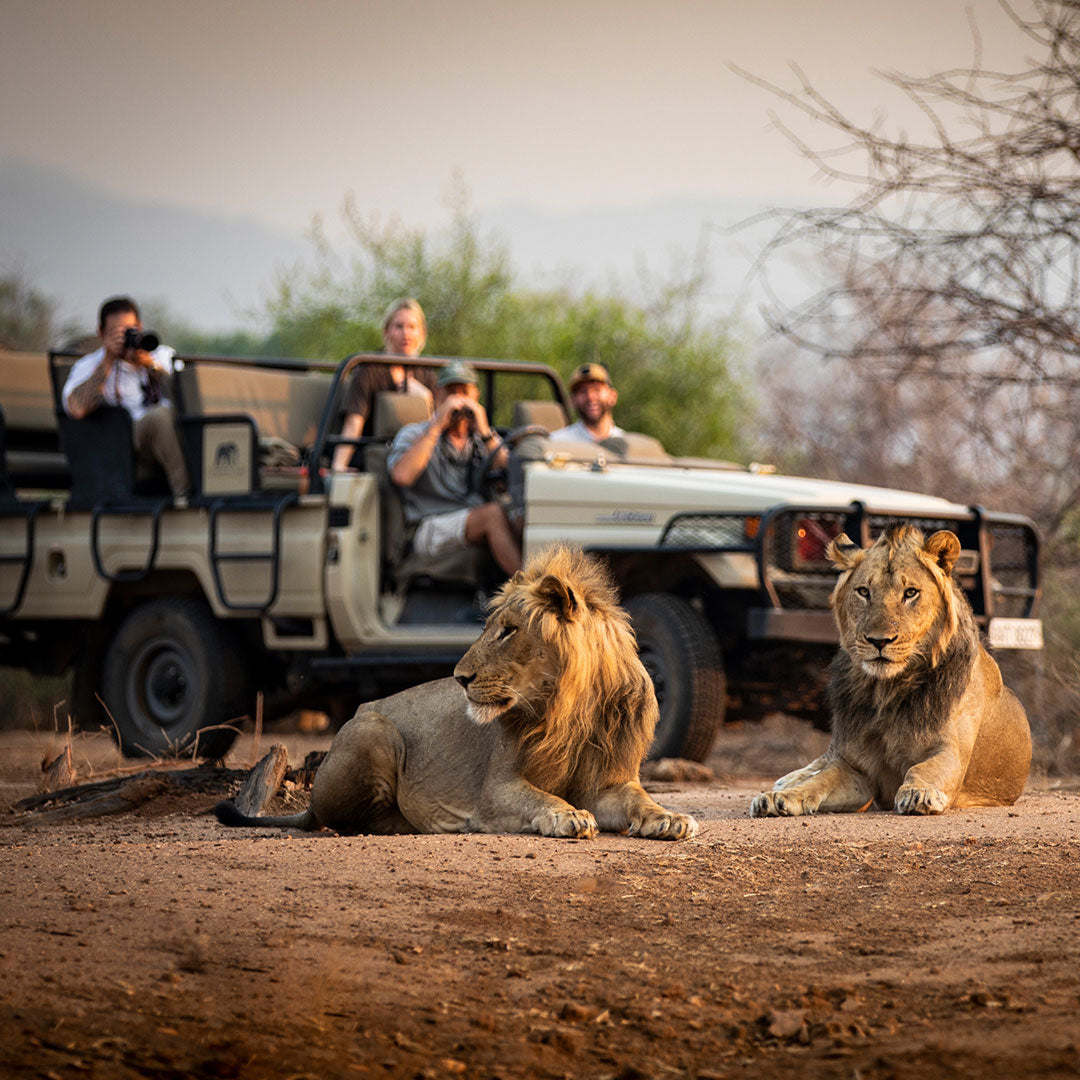 6-Night Lower Zambezi &amp; South Luangwa Safari – Zambia Adventure