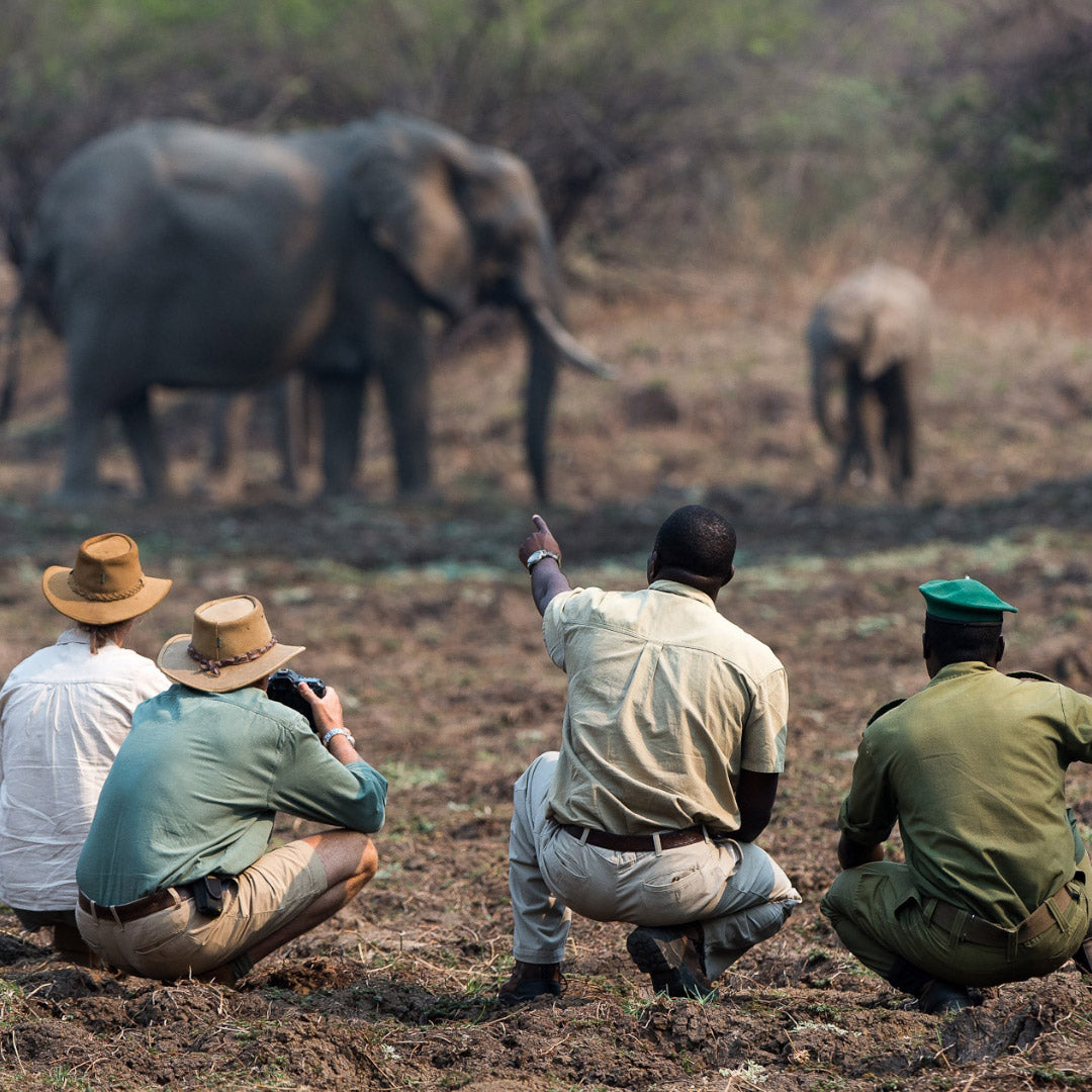 Unforgettable 12-Night Zambia Safari: Lower Zambezi & South Luangwa