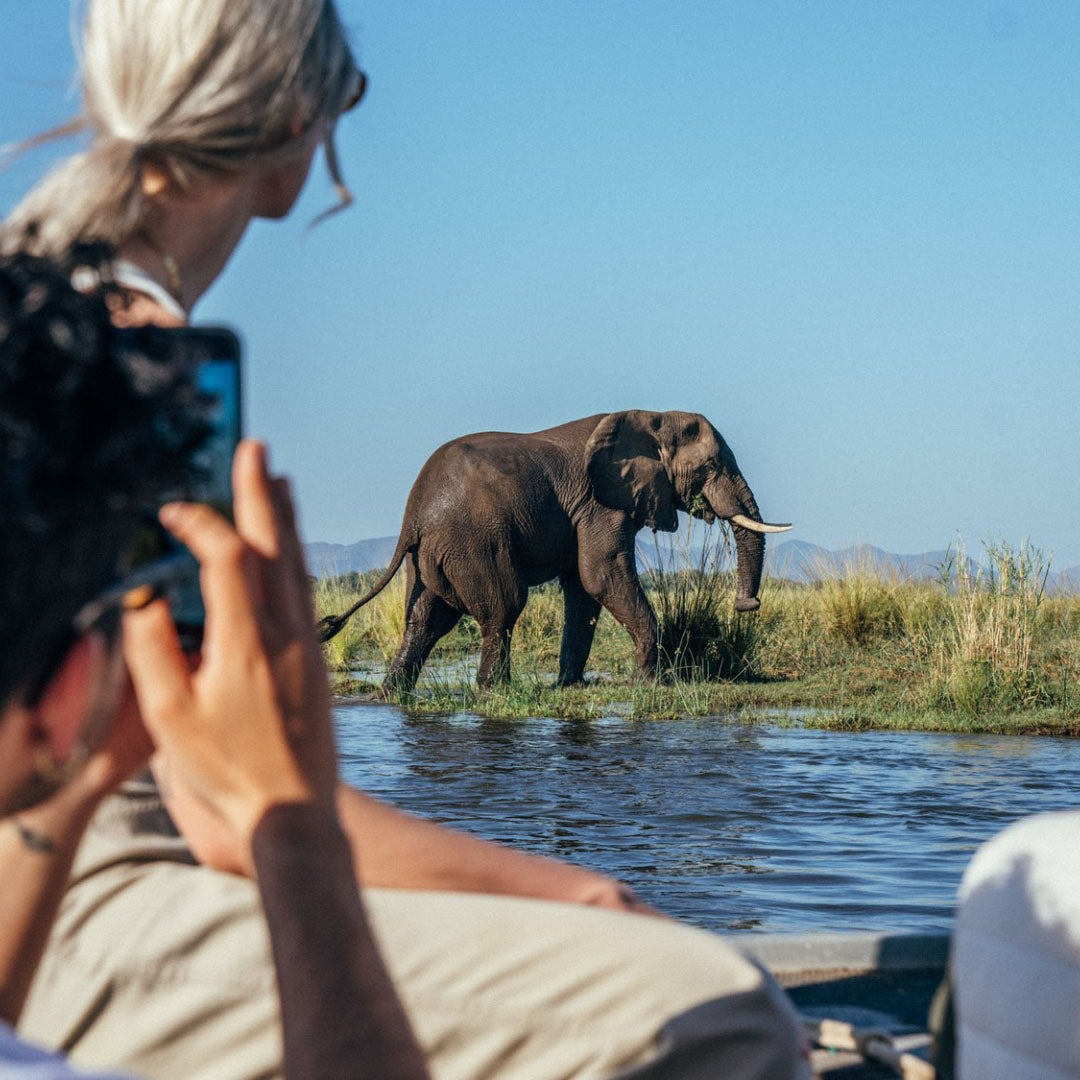 Dusty Boots Travel - Anabezi - Canoe and Elephant
