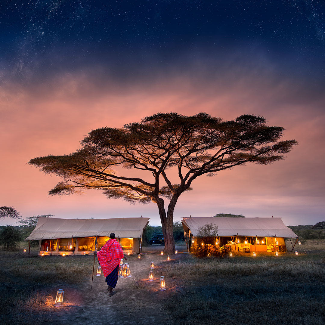 Dusty Boots Travel - Serengeti Under Canvas - Tent view at night