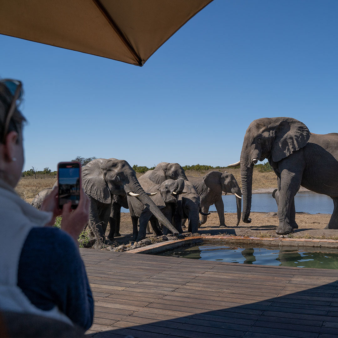 Dusty Boots Travel - Somalisa in Hwange National Park - Elephants