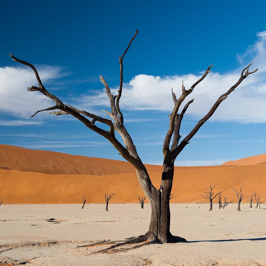 Dusty Boots Travel - Web - Nov 2024 - Sossusvlei