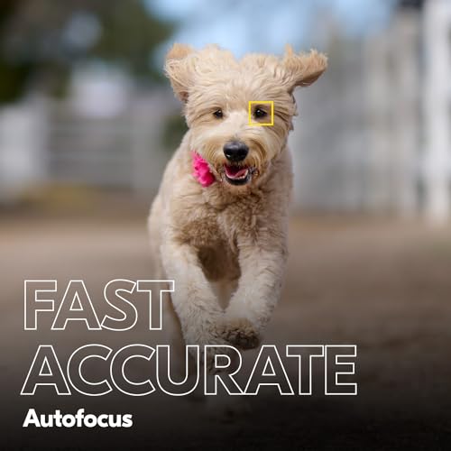 Nikon Z 8 | Professional full-frame mirrorless stills/video hybrid camera | Nikon USA Model