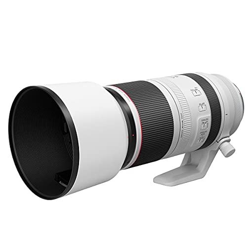 Canon RF 100-500mm F4.5-7.1 L is USM Super-Telephoto Lens
