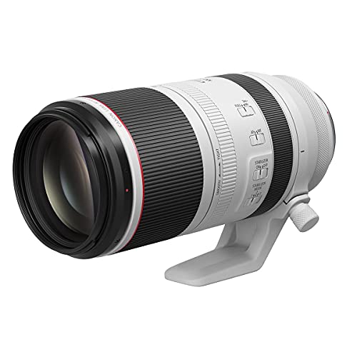 Canon RF 100-500mm F4.5-7.1 L is USM Super-Telephoto Lens